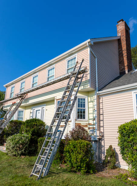 Best Hoarding Cleanup  in Odon, IN